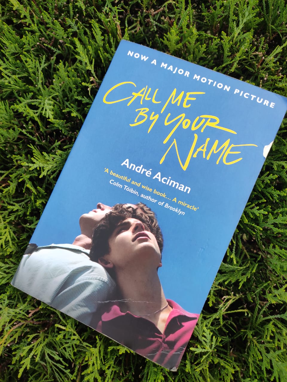 Book Review: Call Me By Your Name